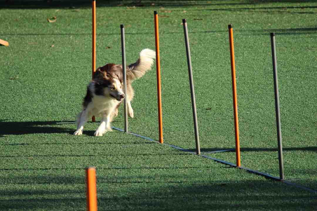 Comment plier une serviette de table en forme d'éventail ?