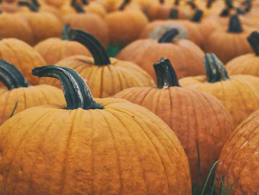 Comment plier une serviette de table en forme d'éventail ?