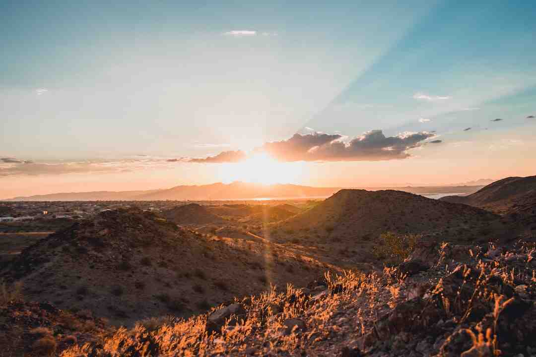 Est-ce que l'eau de Javel est efficace contre les mauvaise herbes ?