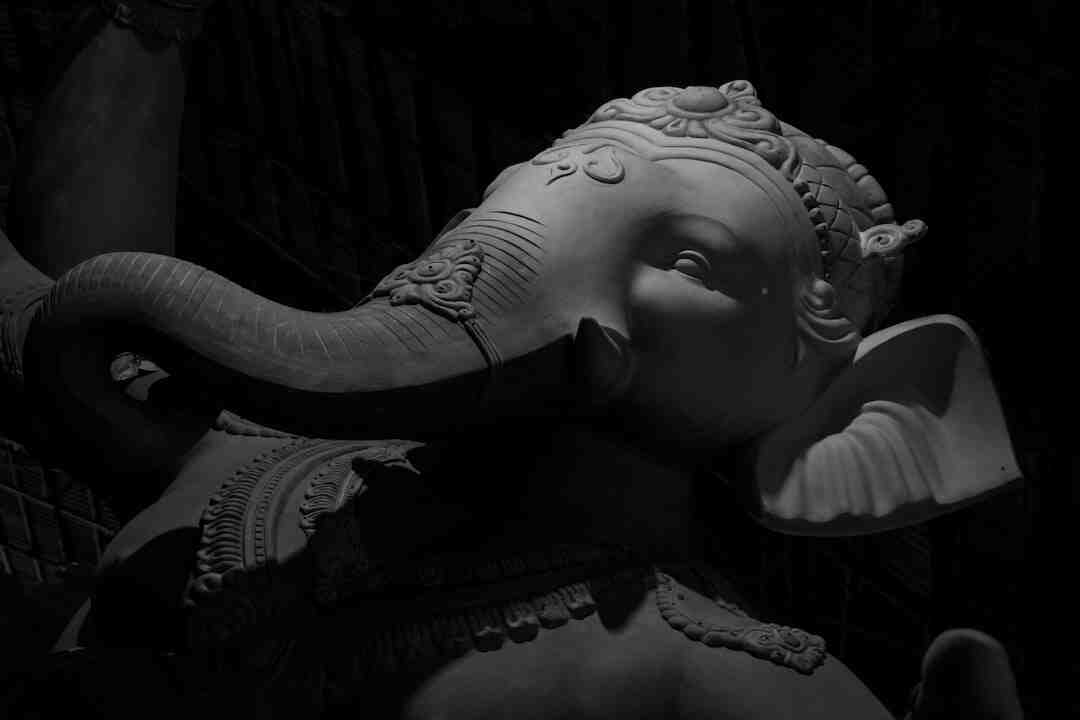 Quand sort le Seigneur des Anneaux sur Netflix ?