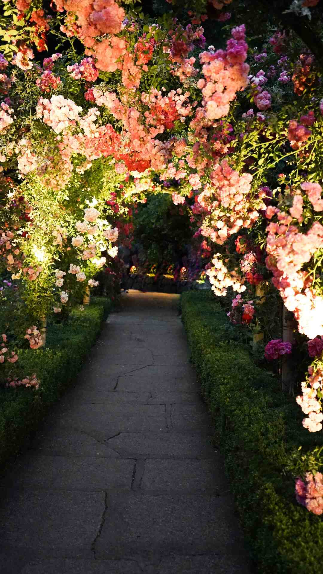 Quel engrais naturel ?