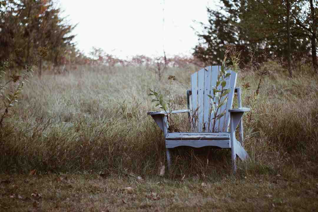 Quelle période pour désherber ?