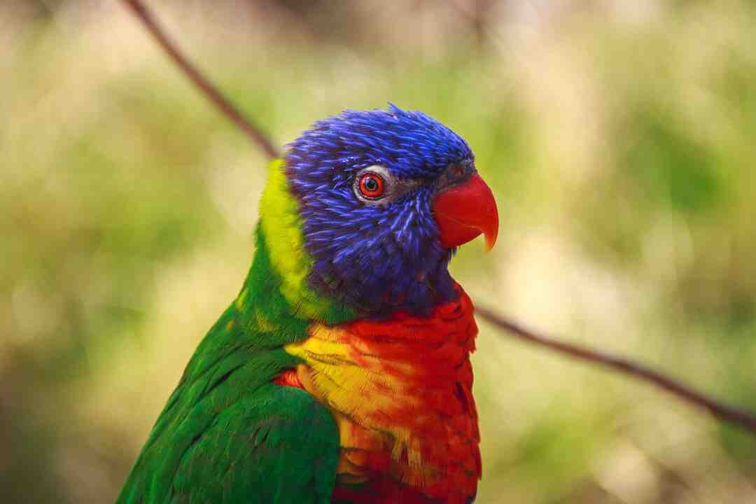 Quels sont les motifs de résiliation SFR ?