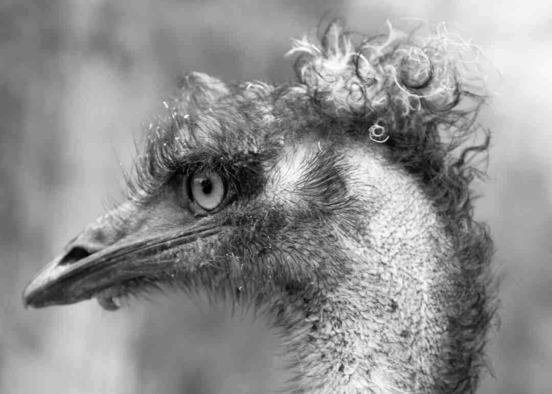 Qui estime la valeur d'un bien ?