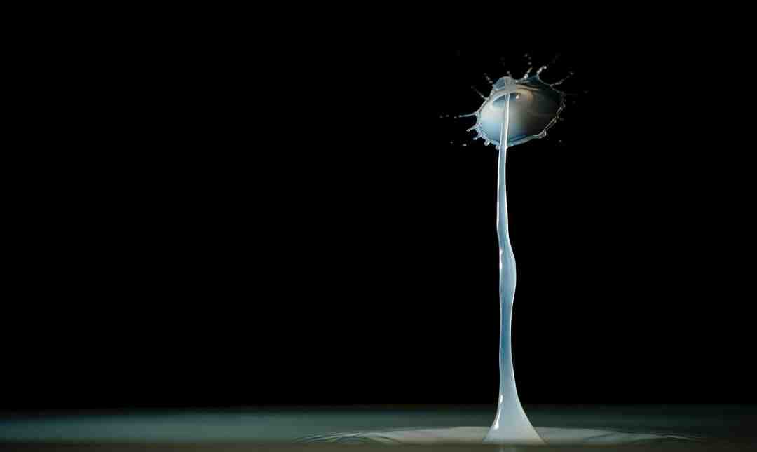 Qui sont les 7 étoiles Genshin ?