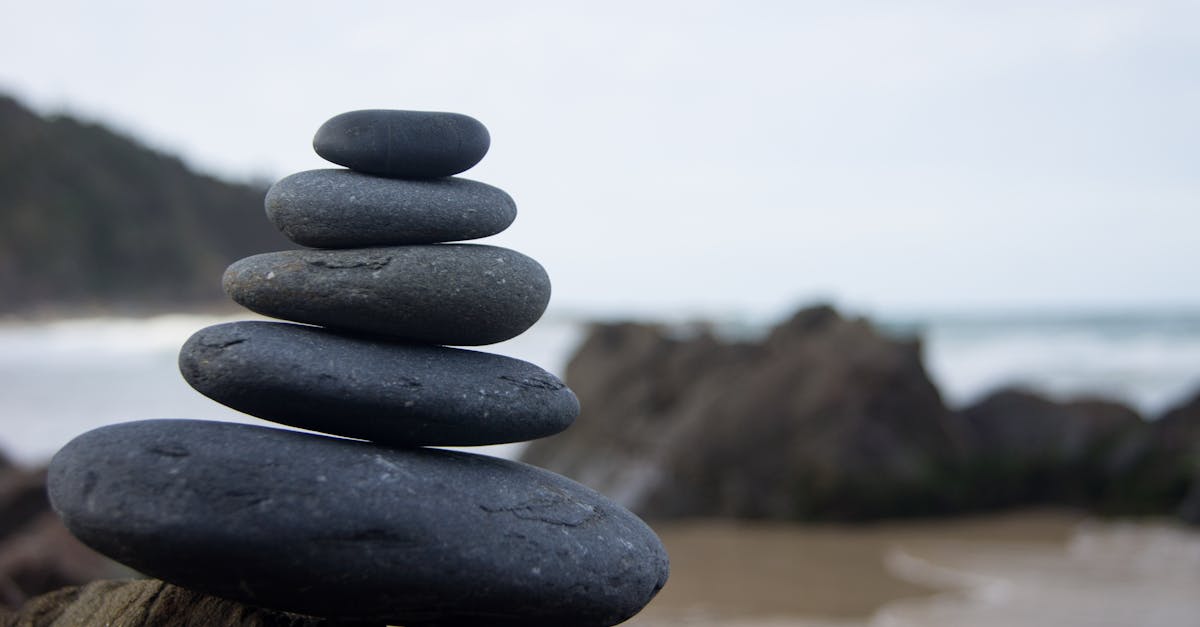découvrez l'importance de la balance dans votre quotidien : un outil essentiel pour atteindre vos objectifs de santé et de bien-être, alliant précision et performance.